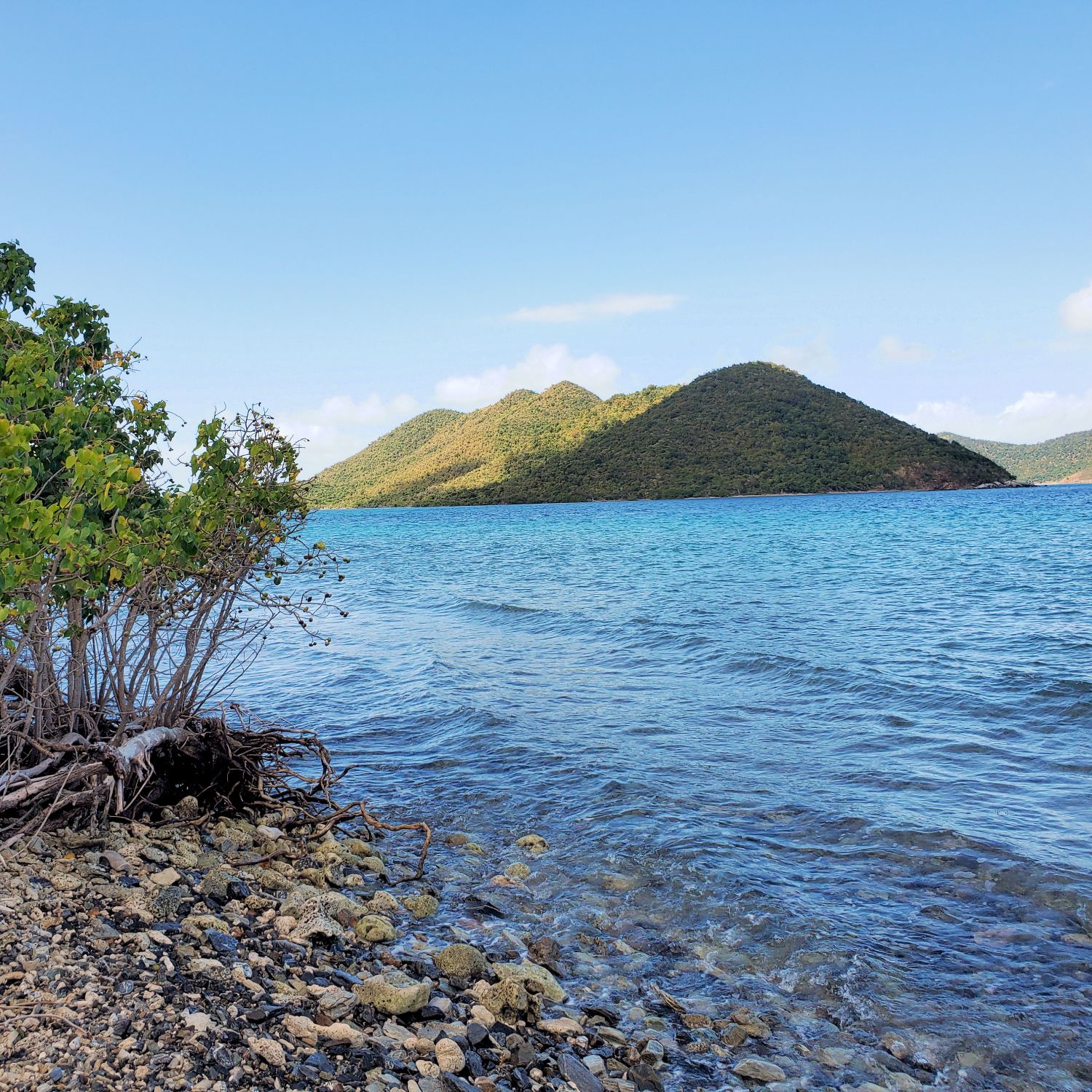 Leinster Bay 